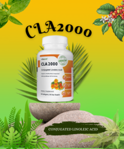 CLA 2000, Weight Loss, Dietary Supplements, Sport Nutrition