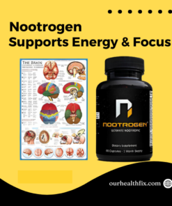 Nootrogen, Nutritional Nootropic Brain Support, Supports Cognition, Supports Energy & Focus, Support for Everyday Stress